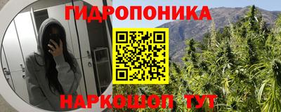прущие крисы Новокубанск