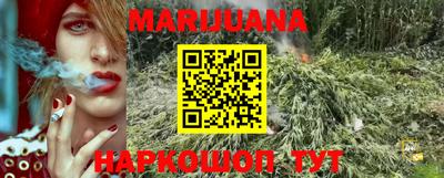mdpv Новодвинск