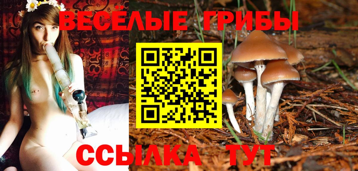 Соликамск  Псилоцибиновые грибы Cubensis  Вход с VPN  Галлюциногенные грибы мухоморы 